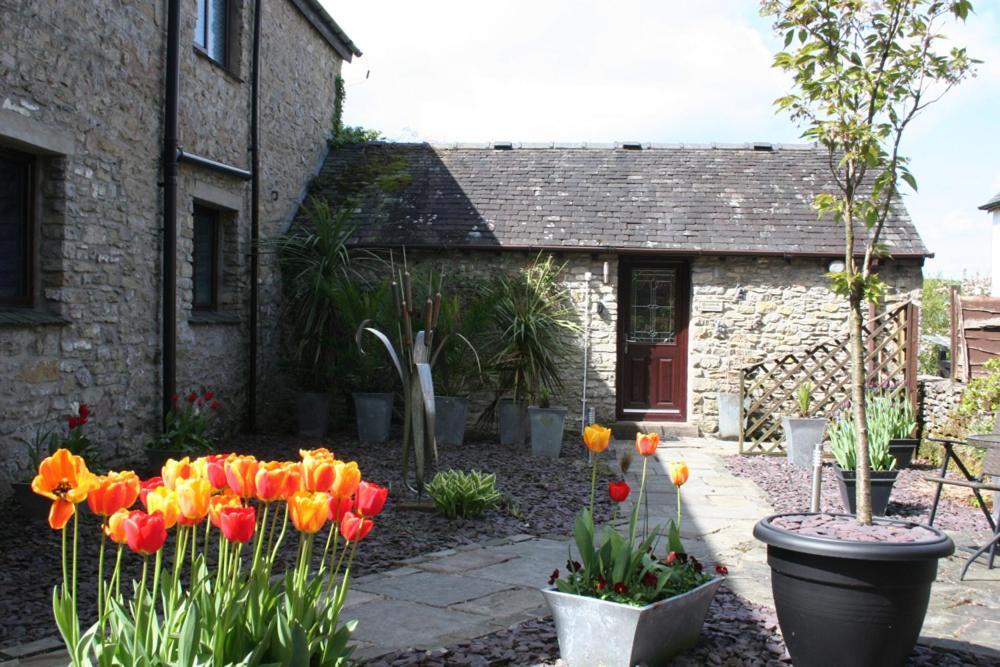 Birslack Grange Kendal Exterior foto